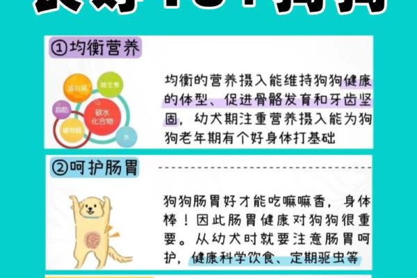 为什么狗狗的命很长？探秘宠物健康与幸福的秘密