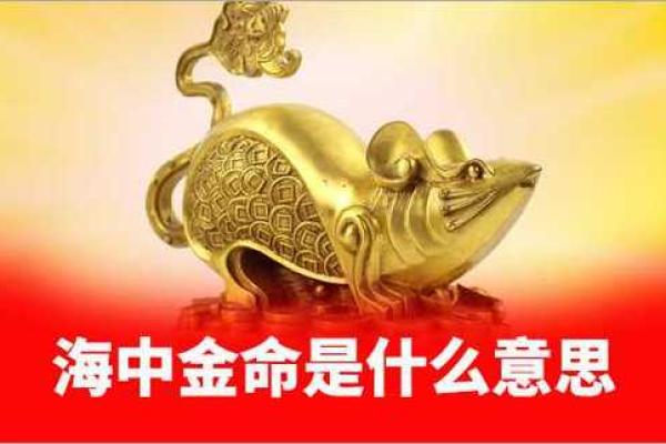 海中金命的人，适合使用什么颜色的钱包招财？
