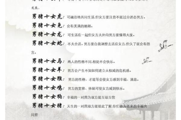 2007年属猪女性的命运解析：如何在生活中把握机会与挑战