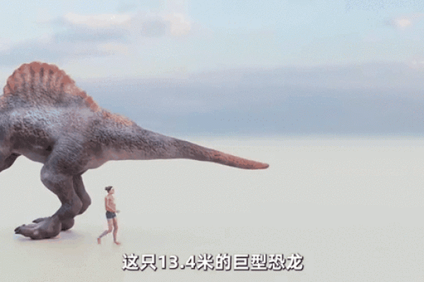 探索恐龙世界：揭秘史上最长的恐龙与其生存奥秘