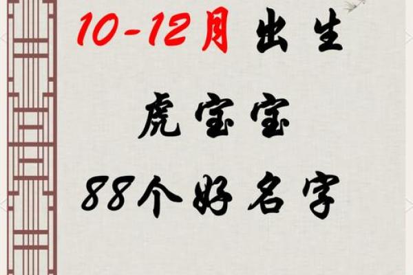 虎年新生儿命运解析：孩子的性格与未来潜能