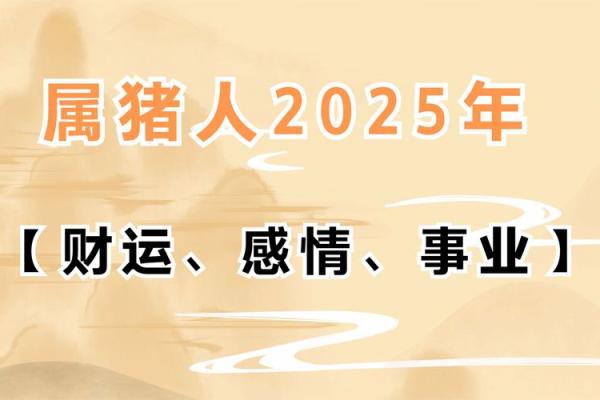 2019年属猪的命理解析：探寻五行与人生道路的奥秘