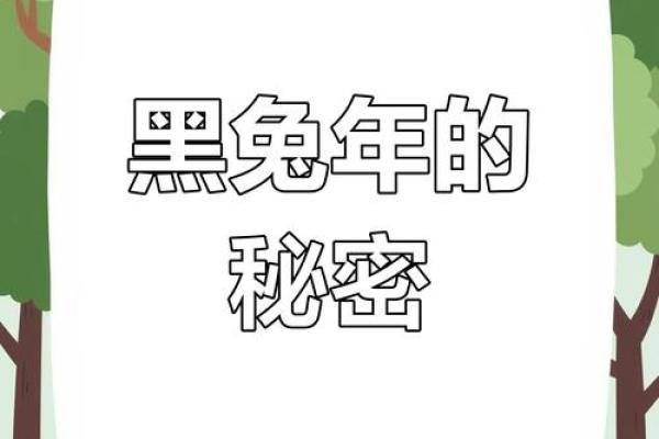 探索黑兔年：解读兔年命格及其背后的深意