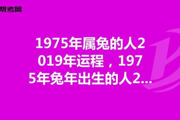 1975年出生者的命运与性格特征解析