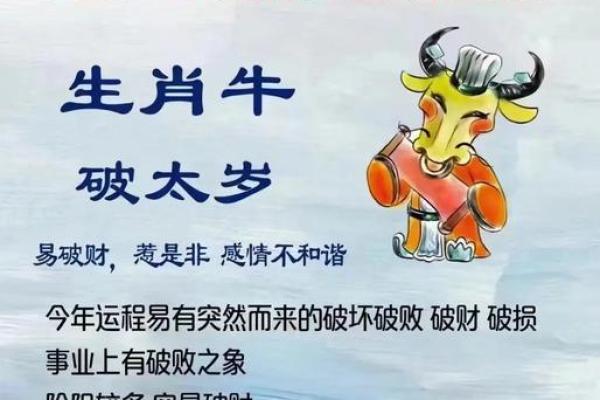 46岁牛女性命运解析：如何趋吉避凶，开启人生新篇章