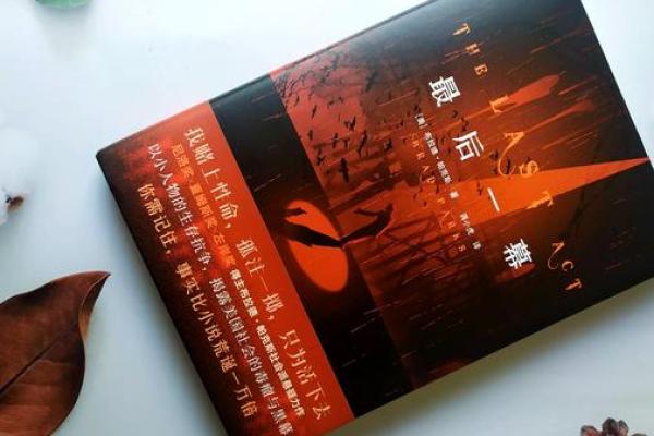 揭秘1986年：命运与属性的奇妙交织