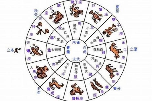 解读生肖命理：何为上上等命星座？