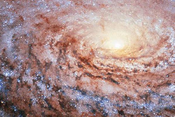 探秘神杀入命:命运与神秘力量的交织 探秘神杀入命:命运与神秘力量的交织