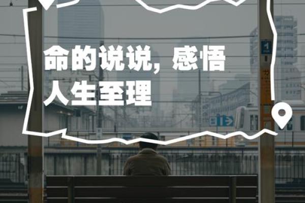 为什么姑姥姥命不好：穿越时空的思考与感悟