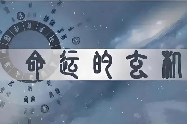 惟命是从：从容应对命运的智慧与品格