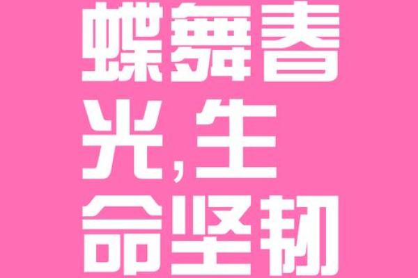 命理解析：蝴蝶的寓意与美丽转变的象征