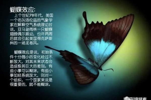 命理解析：蝴蝶的寓意与美丽转变的象征