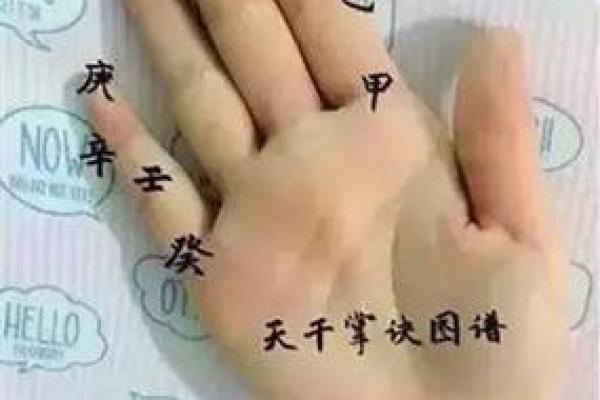 探索“鼻头没骨头”的神秘命理与生活哲学