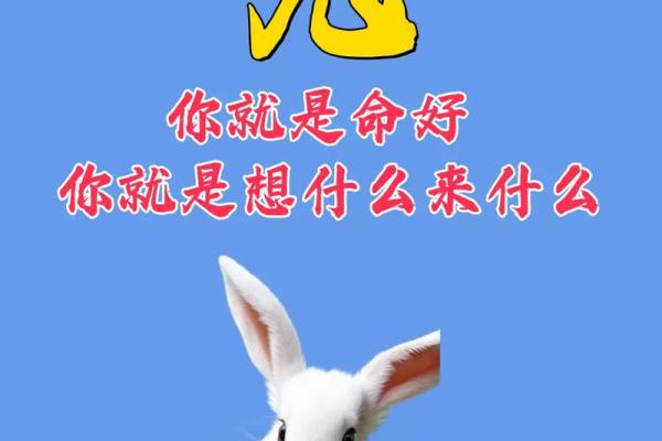 1963年：命兔子的传奇与迷信的交织