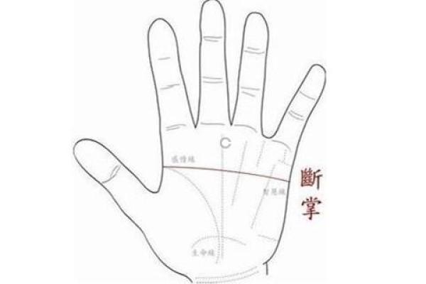 双手断掌男人的命运解析：生活与事业的起伏之路