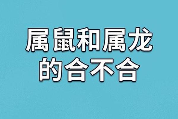 鼠年出生者的命运分析：探索不同属性与职业的契合度