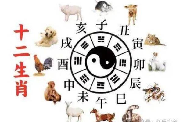 2024年生肖运势分析：哪些命理生肖最为旺盛？
