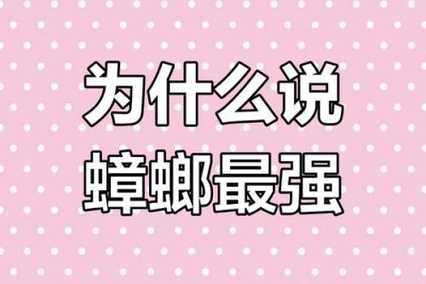 为什么蟑螂的命很硬？探秘生命力强大的小生灵