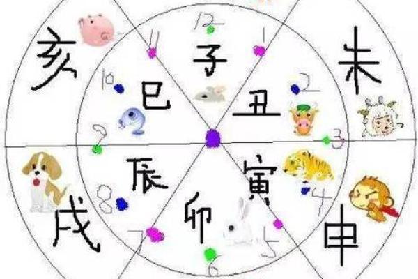 解析壬午乙巳辛巳命运：探寻生命的奥秘与智慧