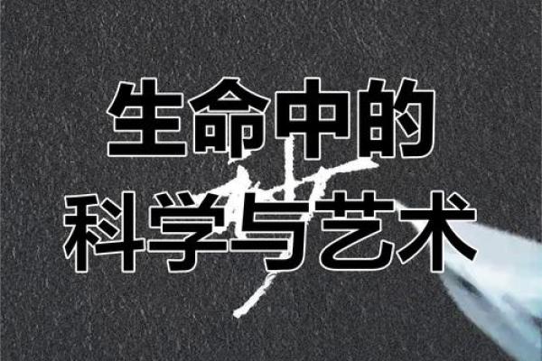解析壬午乙巳辛巳命运：探寻生命的奥秘与智慧