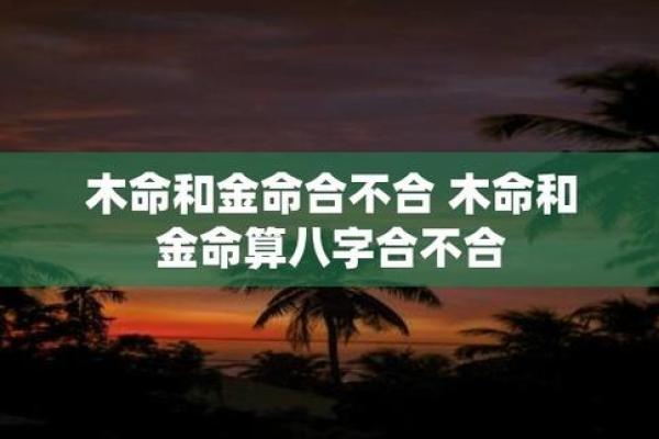 1985年：金命之年，探寻命理背后的神秘力量