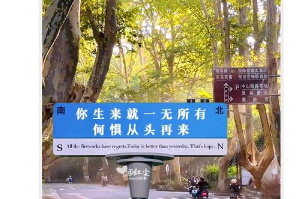 女人没有斗志，命运会怎样？让我们来探索！