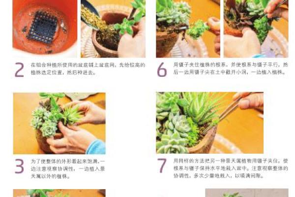 杨柳木命的鱼养宝典：适合你的水中伙伴与养护技巧