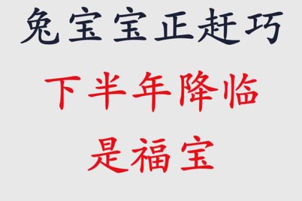 兔年女宝宝命理解析：如何助力她们的未来幸福人生