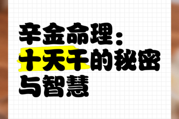 揭秘龙虎拱月命理：深藏于命运中的奥秘与智慧