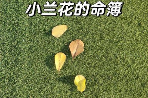 神秘的命簿树叶：探索古老的传说与现代寓意