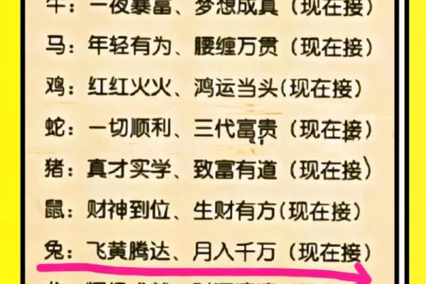 揭秘2023年：哪些生肖男命最具优势与魅力？