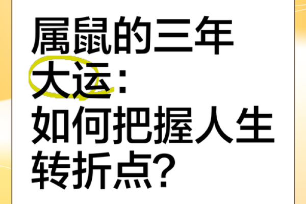 2005年属鼠的命运解析：如何把握人生的每一个机会