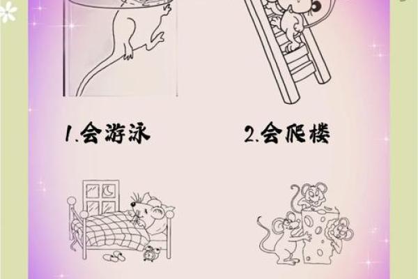 不怕老鼠的人是什么命?揭开性格背后的秘密! 不怕老鼠的人是什么命?揭开性格背后的秘密!