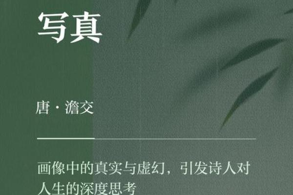 探寻“命”字的奥秘：命与词，命与生活的多元交织