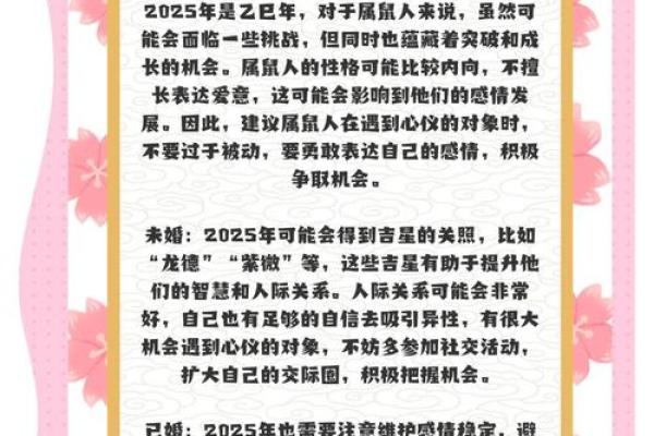 鼠与猴：生肖命理揭秘，人生运势如何交织？