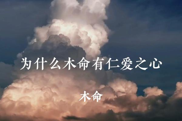 真命天子，踏寻人生归属之路