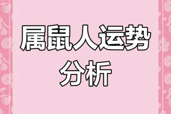 1984鼠年出生的命运：解析你的生命之旅与运势潜能