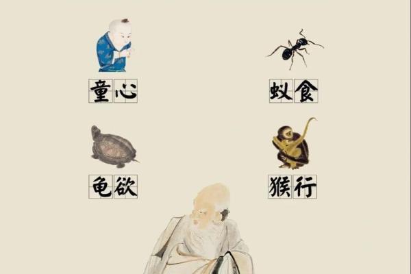 1982年出生的属狗人：解读命理与生活的智慧