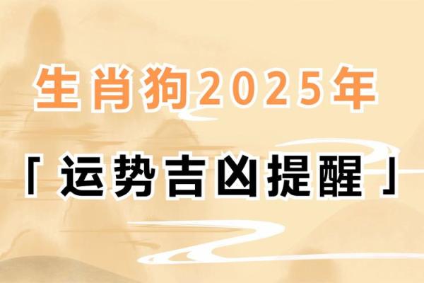 1982年出生的属狗人：解读命理与生活的智慧