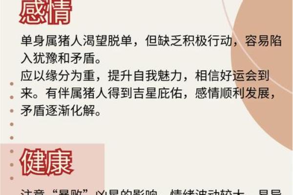 2024年猪宝宝命理解析：聪慧与美好未来的象征
