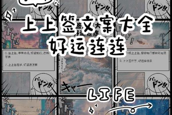 解密上上签熊猫命：好运与幸福的象征