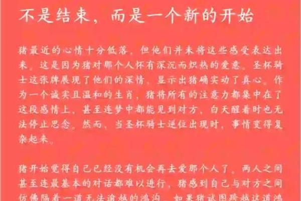 2019年属猪人命运解析：如何把握机遇，迎接美好未来