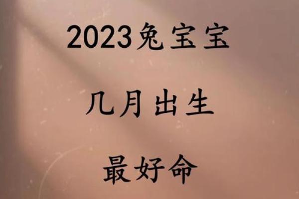 2023年兔宝宝命理分析：兔年出生的孩子缺什么，运势如何？
