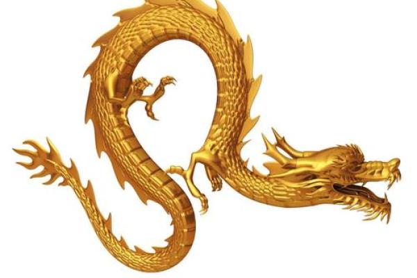属大龙57岁，人生命运与性格探析，岁月的智慧与挑战