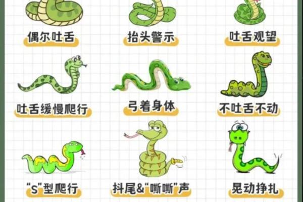 揭秘属蛇人的命理与性格：你是幸运的蛇吗？