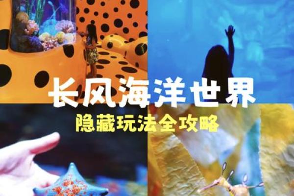 探秘海底长寿之旅：为何海洋生物能活得如此悠久？