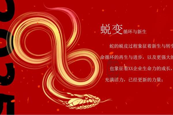2020年金蛇命：探寻金蛇的命运与运势奥秘