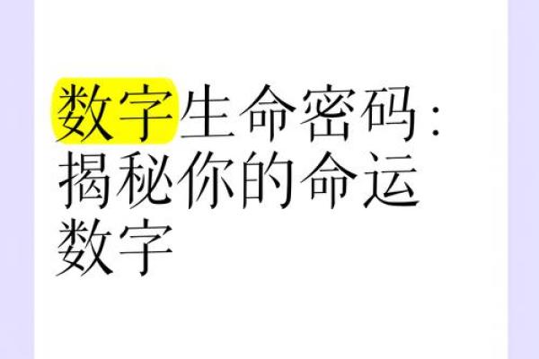 揭秘你的命运密码：如何通过数字了解自我与未来