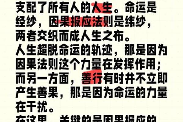 工夫命：探索命运与努力的结合之道