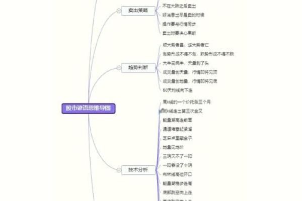 水命人士炒股指南：如何选择适合你的投资股票